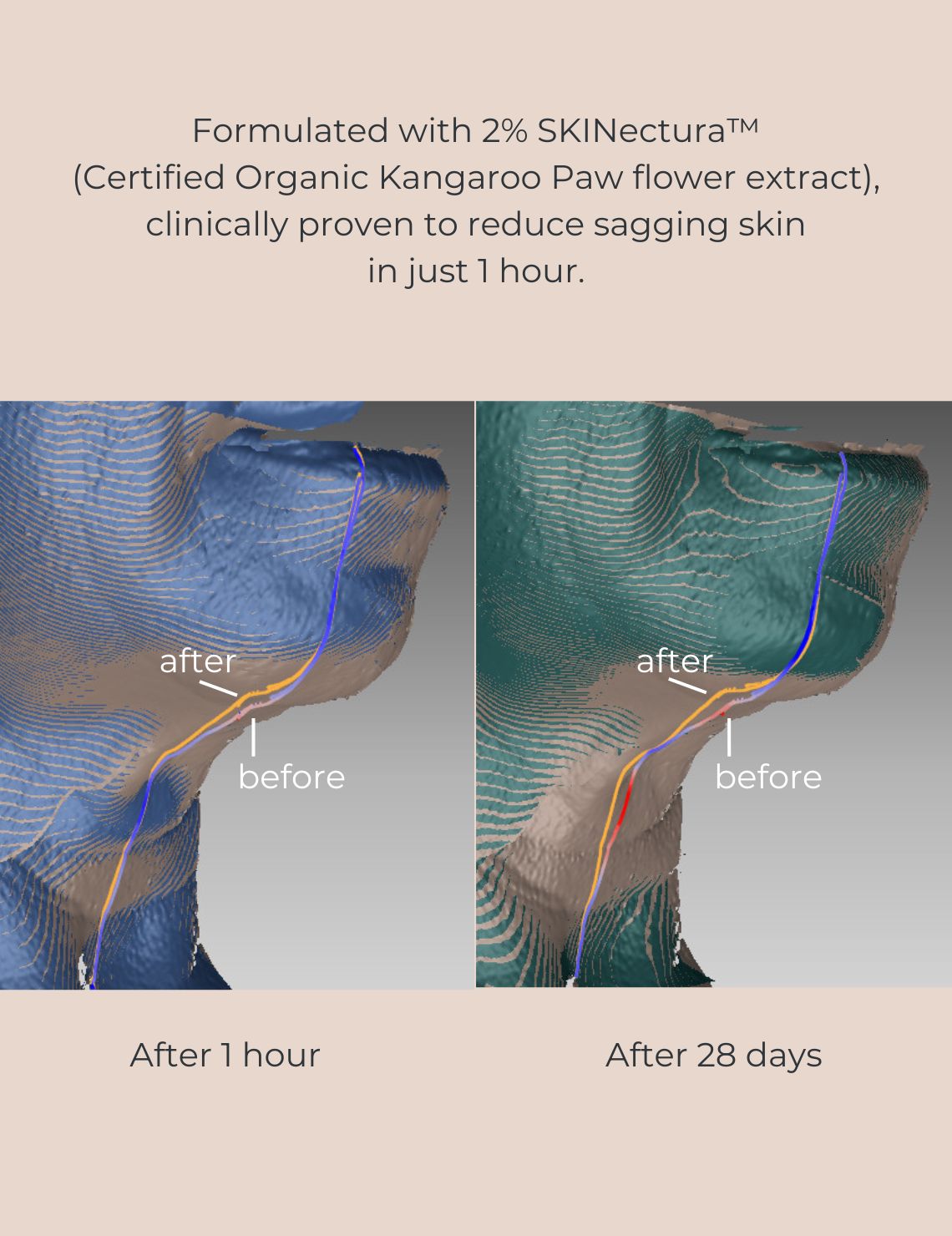 INIKA Organic Pure Perfection Primer (GWP)